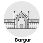 Bargur